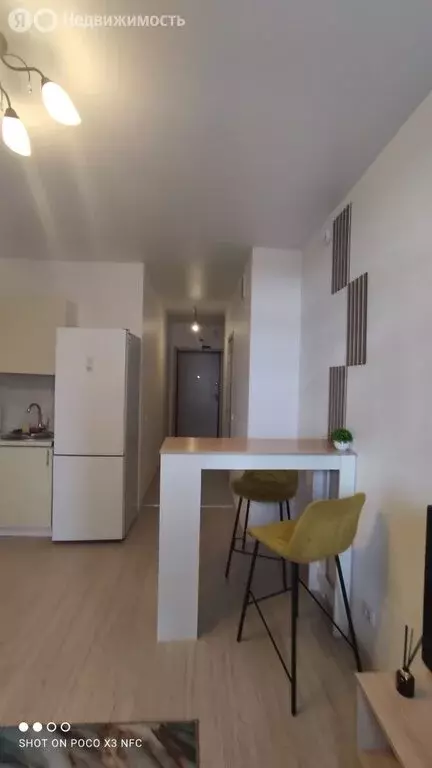 Квартира-студия: деревня Анкудиновка, Русская улица, 3 (25.8 м) - Фото 2