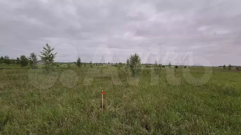Участок 10 сот. (СНТ, ДНП) - Фото 0