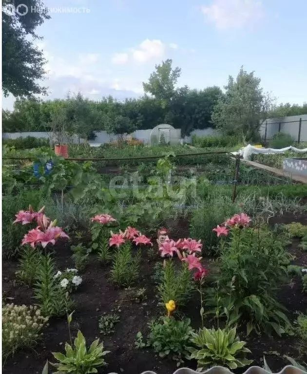 Участок в Ишимбай, улица Белинского (5.9 м) - Фото 1