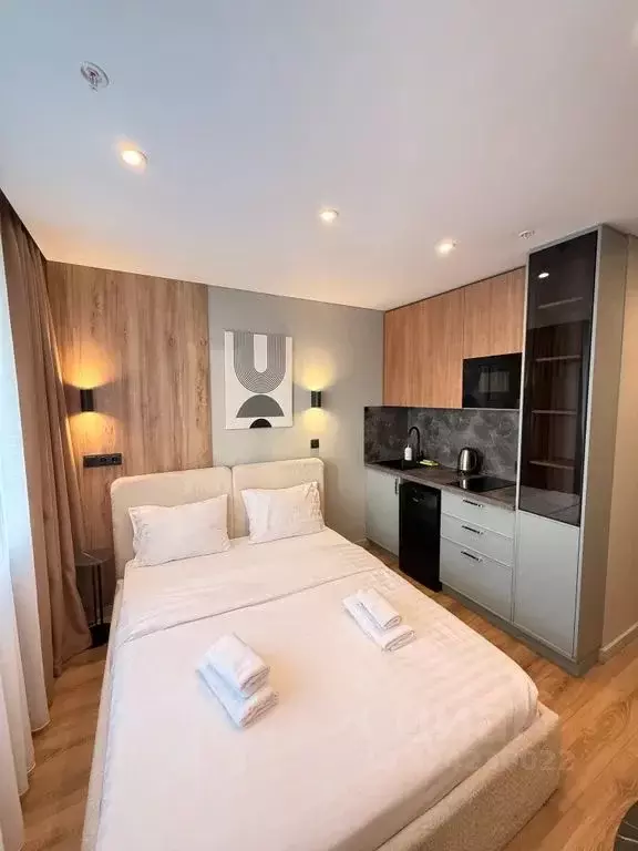 Студия Москва Ленинский просп., 158 (17.0 м) - Фото 2