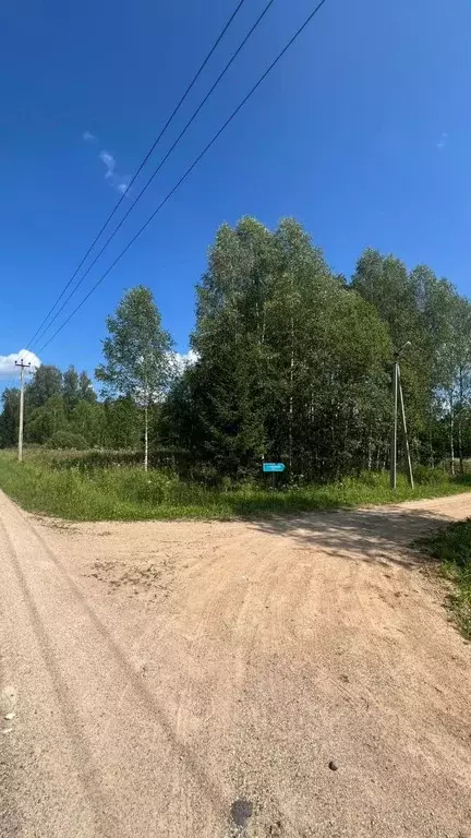 Участок в Смоленская область, Темкинский муниципальный округ, Русь СНТ ... - Фото 1