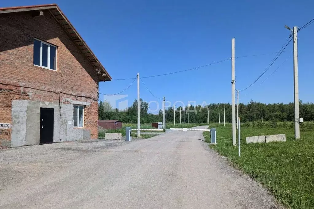 Участок в Новосибирская область, Новосибирский район, Барышевский ... - Фото 1