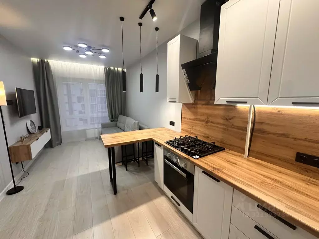 1-к кв. Псковская область, Псковский район, Завеличенская волость, д. ... - Фото 2