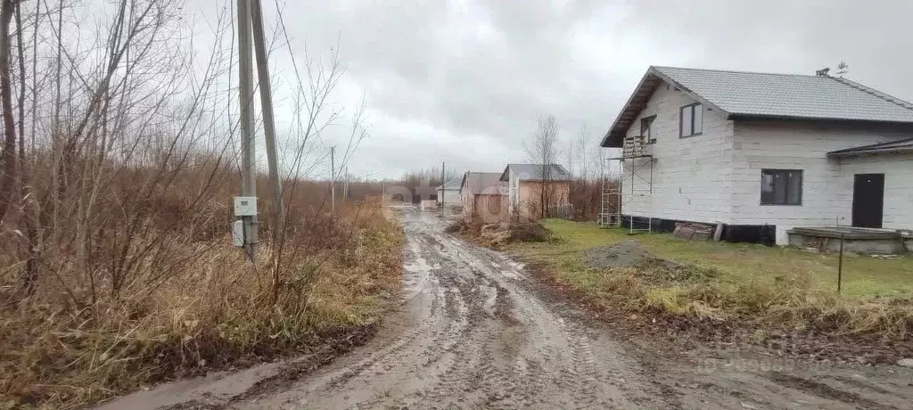 Участок в Алтайский край, Первомайский район, с. Фирсово ул. Яблоневая ... - Фото 0