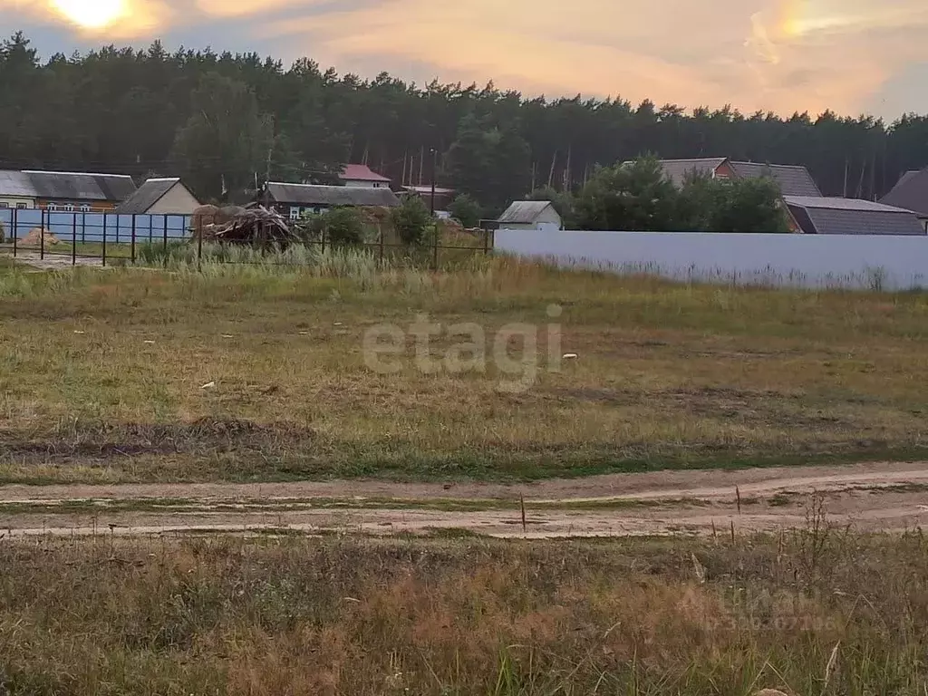 Участок в Мордовия, Ичалковский район, пос. Смольный Школьный пер. ... - Фото 1