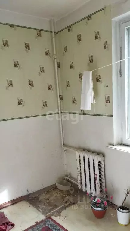 1-к кв. Курганская область, Шадринск ул. Бажова, 28 (34.9 м) - Фото 0