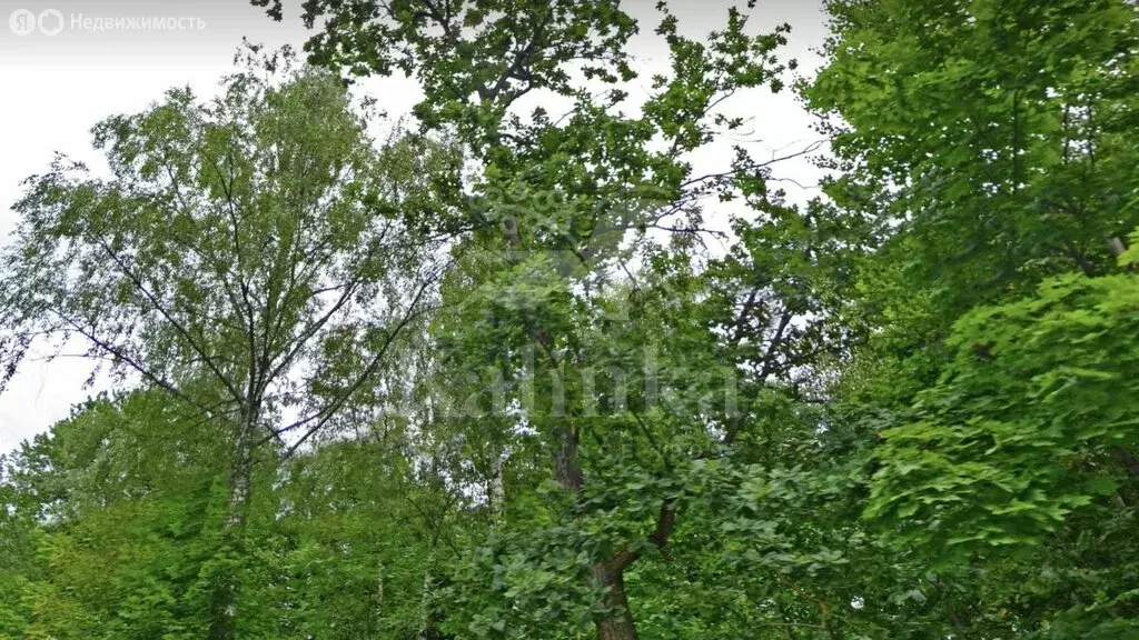Участок в Химки, микрорайон Новогорск (745.68 м) - Фото 2