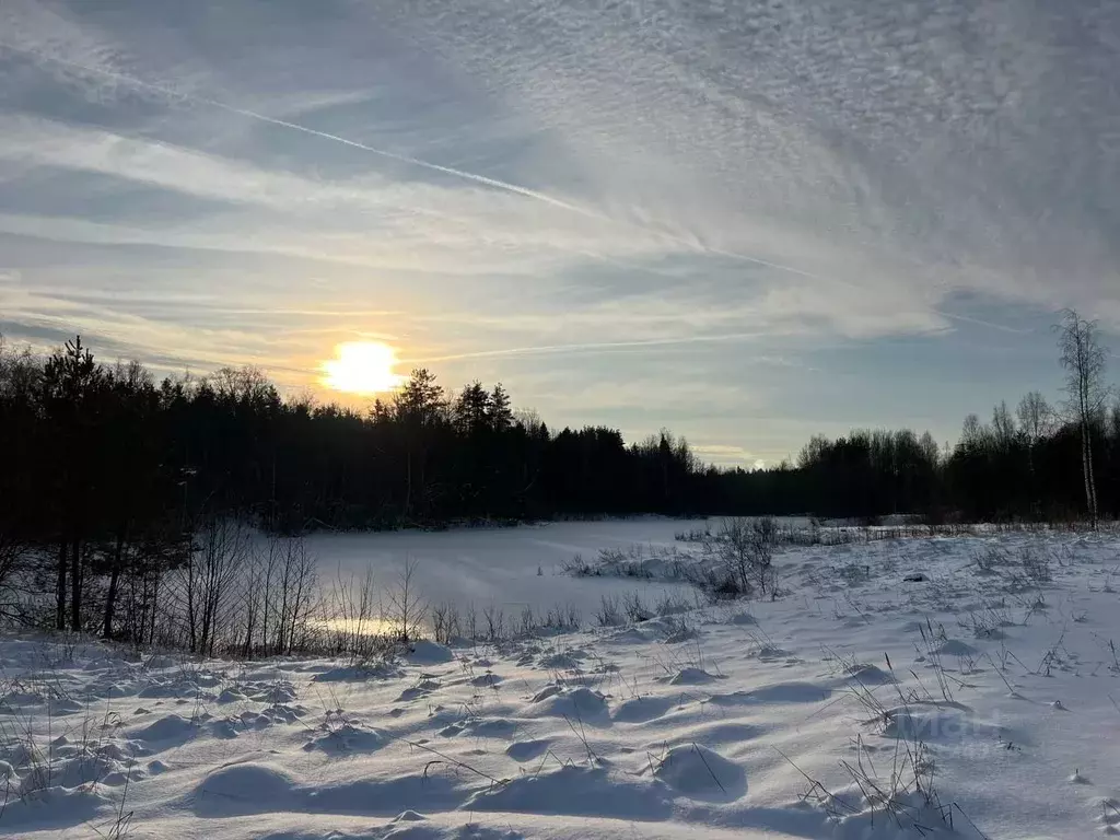 Участок в Ленинградская область, Ломоносовский район, Пениковское ... - Фото 0