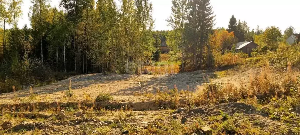 Участок в Карелия, Прионежский район, Нововилговское с/пос, ... - Фото 1