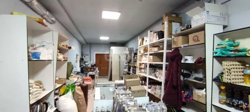 Торговая площадь в Свердловская область, Тугулым пгт ул. Ветлечебницы, ... - Фото 1