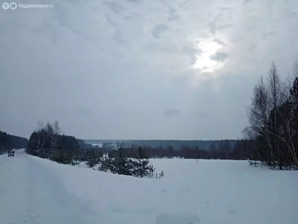 Участок в Нижегородская область, Богородский муниципальный округ, ... - Фото 1