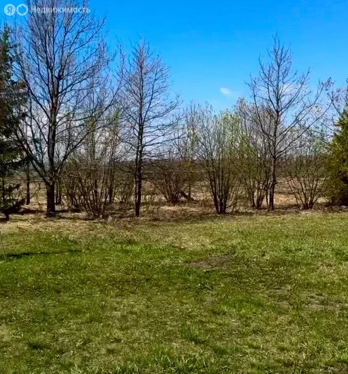 Участок в Лаишевский район, село Рождествено (8 м) - Фото 2