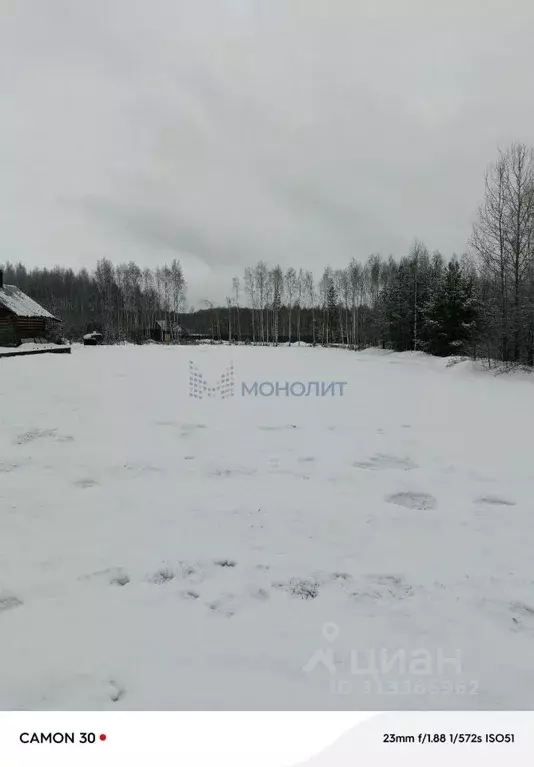 Участок в Нижегородская область, Городецкий муниципальный округ, с. ... - Фото 0