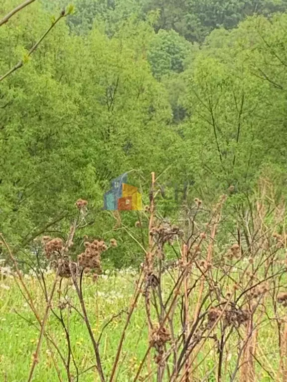 Участок в Тульская область, Тула городской округ, с. Алешня ул. ... - Фото 2