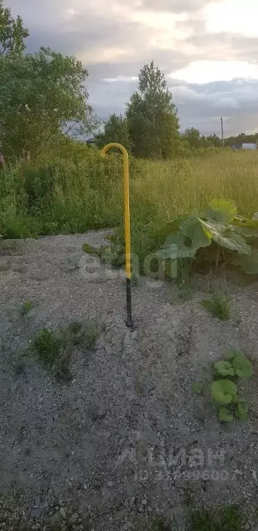 Участок в Сахалинская область, Южно-Сахалинск городской округ, с. ... - Фото 0