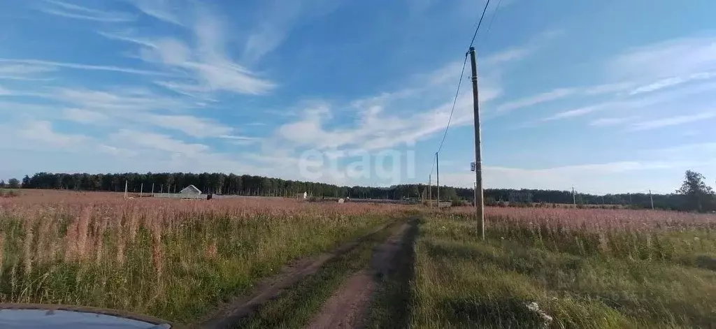 Участок в Челябинская область, Сосновский муниципальный округ, д. ... - Фото 1