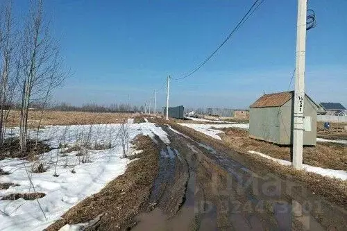 Участок в Новгородская область, Новгородский район, Трубичинское ... - Фото 2