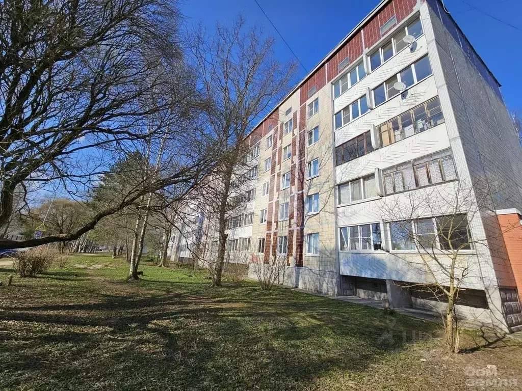 2-к кв. Ленинградская область, Тосно г. Тосненский район, Тосненское ... - Фото 2