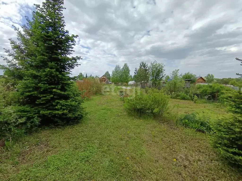 Участок в Кемеровская область, Кемеровский район, Уголек СНТ 84 (9.8 ... - Фото 0