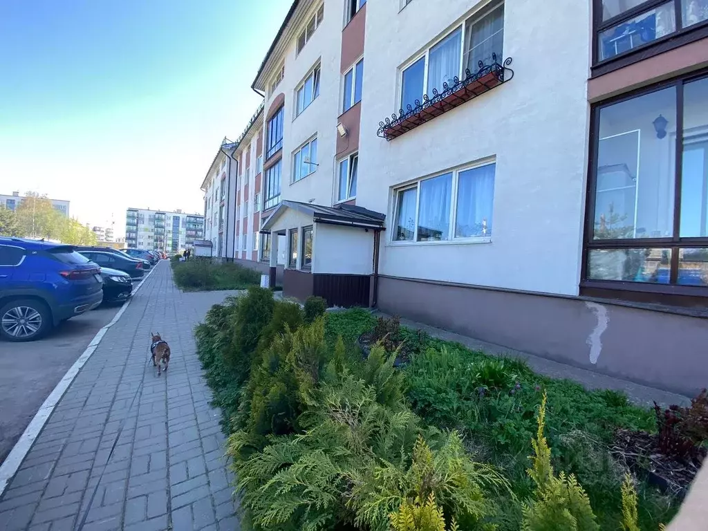 Студия Ленинградская область, Всеволожск ул. Шевченко, 18К3 (30.0 м) - Фото 0