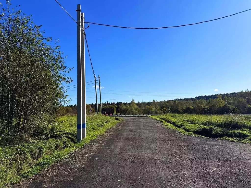 Участок в Московская область, Дмитровский муниципальный округ, Форест ... - Фото 2