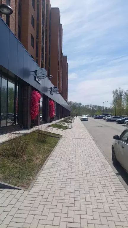 Офис в Новосибирская область, Новосибирск ул. Василия Клевцова, 3 (116 ... - Фото 0