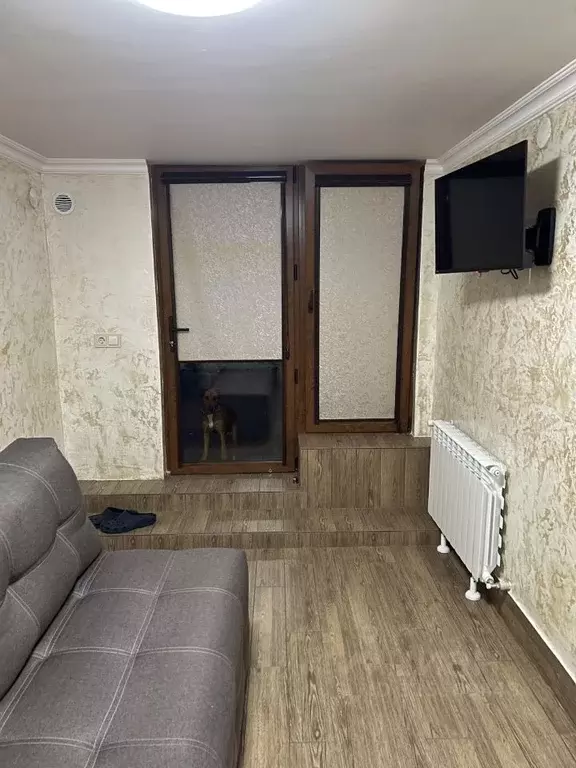 1-к кв. Краснодарский край, Сочи городской округ, с. Веселое ул. Имени ... - Фото 1