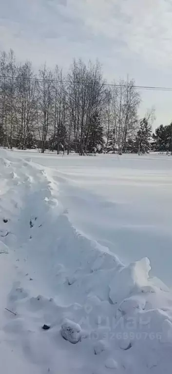 Участок в Московская область, Орехово-Зуевский городской округ, д. ... - Фото 2