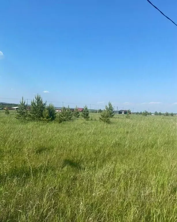 Участок в Красноярский край, Емельяновский муниципальный округ, с. ... - Фото 1