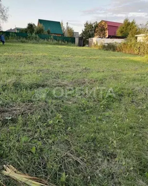 Участок в Тюменская область, Тюмень городской округ, пос. Утешевский  ... - Фото 1