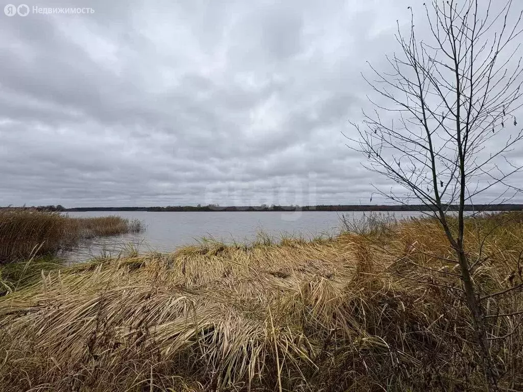 Участок в Тверская область, Кимрский муниципальный округ, деревня ... - Фото 1