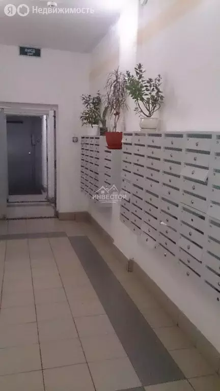 Квартира-студия: Челябинск, Краснопольский проспект, 13А (30 м) - Фото 1