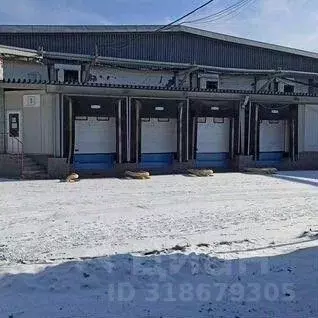Производственное помещение в Московская область, Ногинск Богородский ... - Фото 0