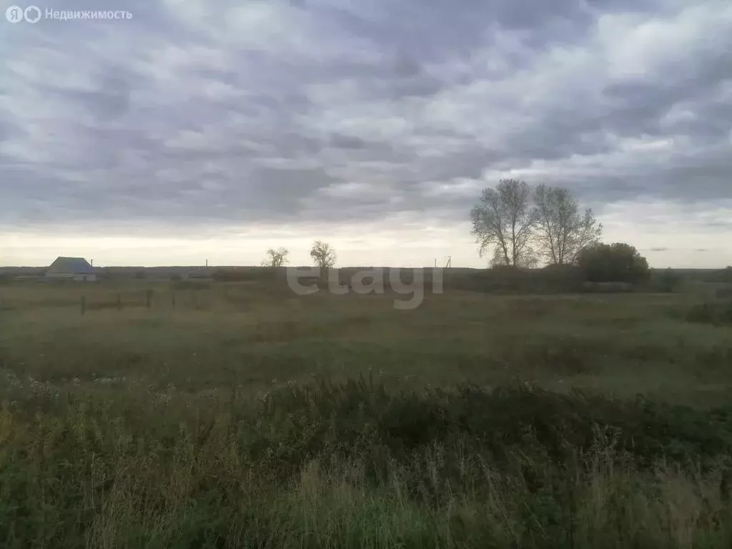 Участок в Исетский район, деревня Пастухова, Центральная улица (17.18 ... - Фото 0