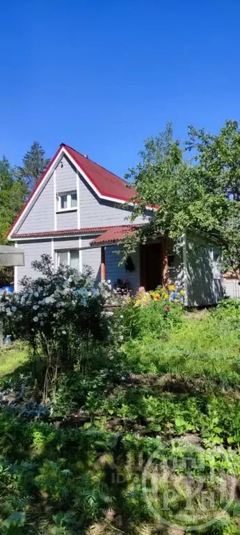 Дом в Ленинградская область, Кировское городское поселение, Грибное ... - Фото 2