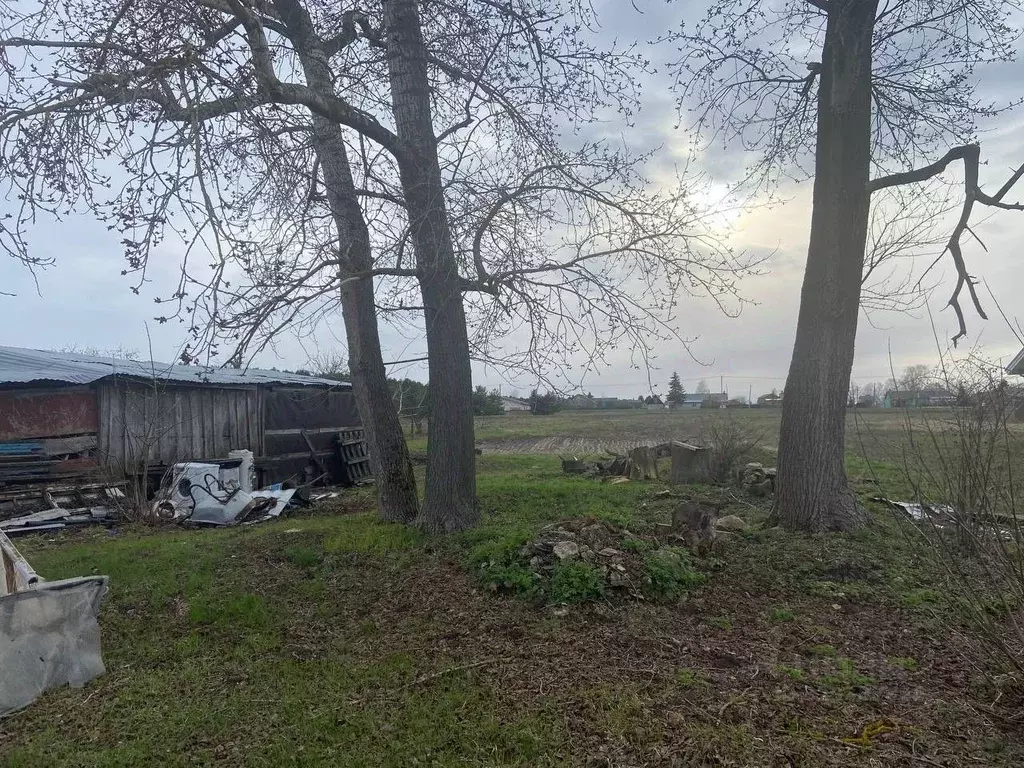 Участок в Московская область, Коломна городской округ, с. Сосновка  ... - Фото 1