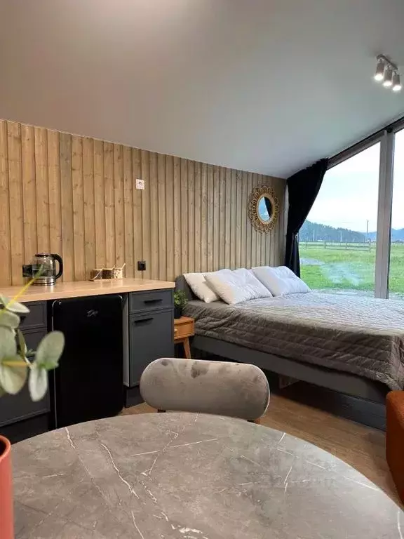 Дом в Алтай, Чемальский район, с. Чемал  (25 м) - Фото 1