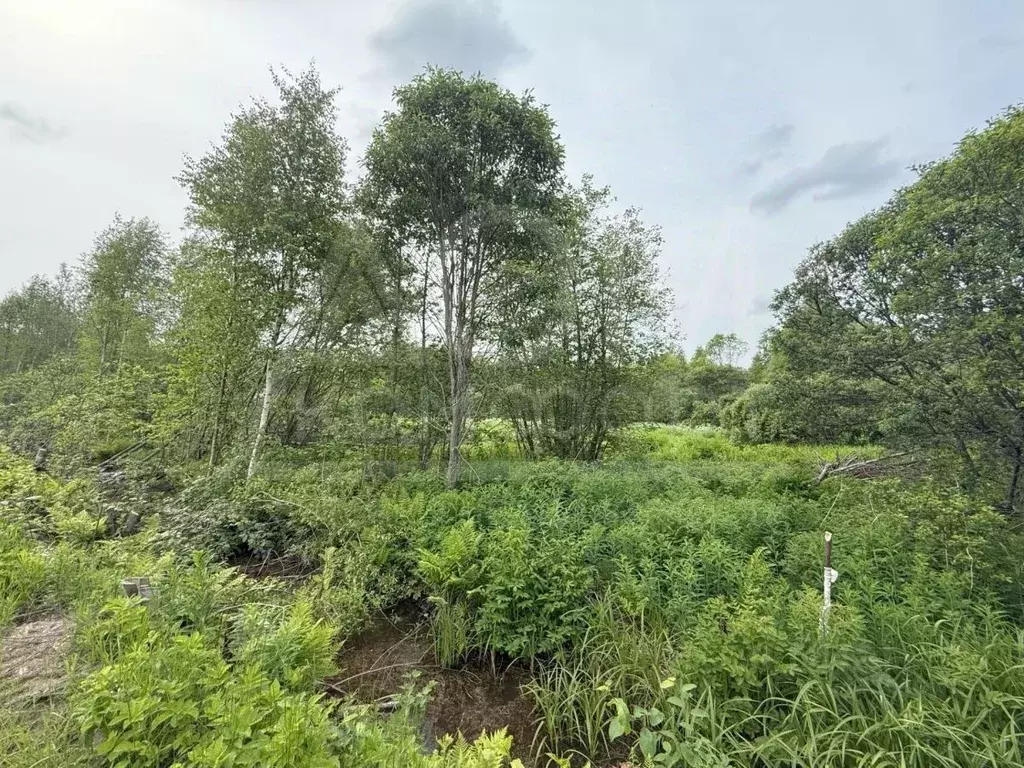 Участок в Ленинградская область, Выборг ул. Младших Командиров (10.0 ... - Фото 1