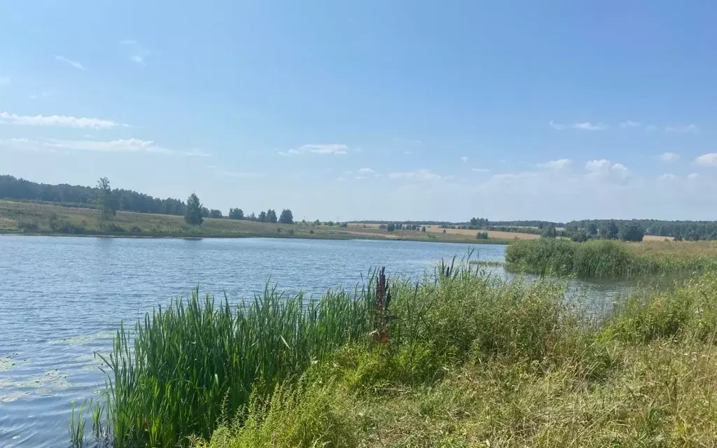 Участок в Московская область, Серебряные Пруды муниципальный округ, д. ... - Фото 2