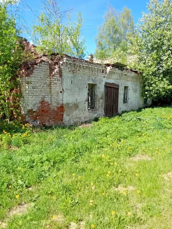 Помещение свободного назначения в Ярославская область, Любимский ... - Фото 0