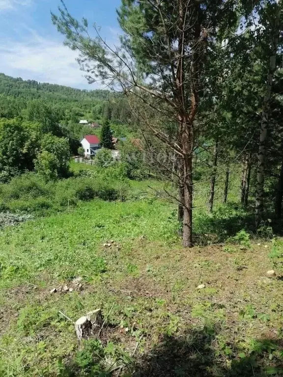 Участок в Алтай, Горно-Алтайск Малиновый пер. (6.0 сот.) - Фото 1