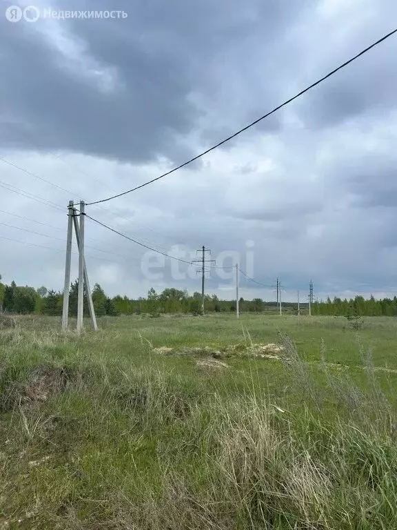 Участок в Ковровский район, муниципальное образование Малыгинское, ... - Фото 0