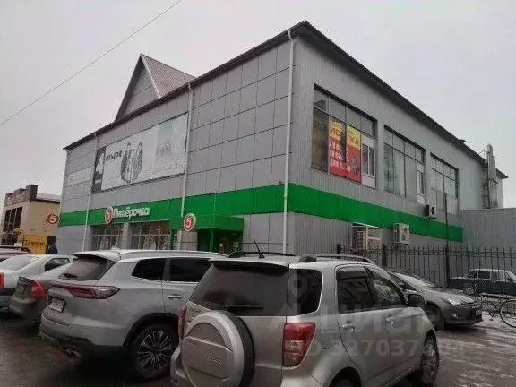 Торговая площадь в Воронежская область, Бобров ул. Авдеева, 46А (558 ... - Фото 1