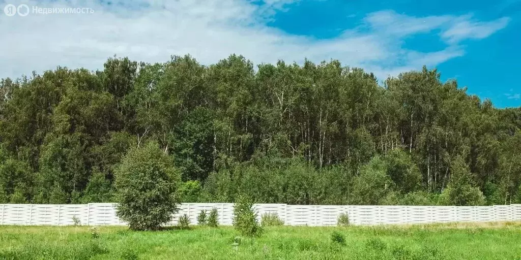 Участок в Московская область, городской округ Серпухов, деревня ... - Фото 2
