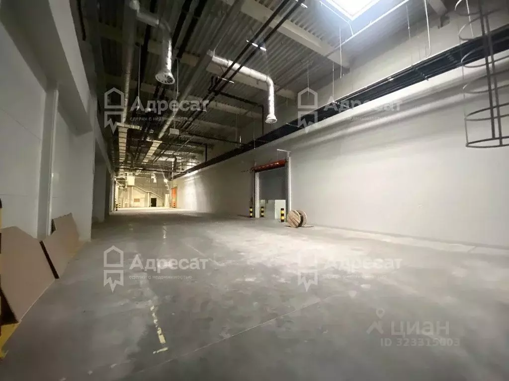 Офис в Волгоградская область, Волжский ул. Александрова, 8Б (840 м) - Фото 1