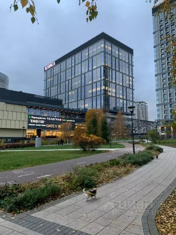 Офис в Москва ул. Вильгельма Пика, 11 (33 м) - Фото 2