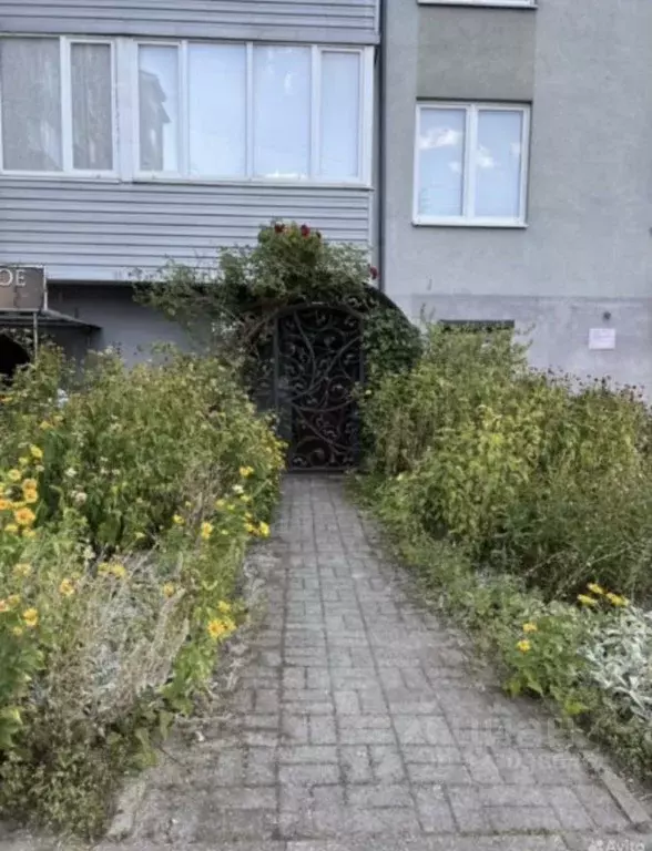 Офис в Калининградская область, Калининград Балашовская ул., 4 (41 м) - Фото 1