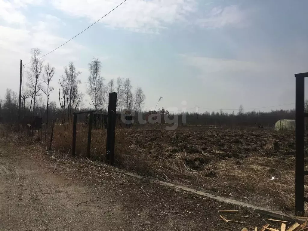 Участок в Еврейская автономная область, Смидовичский район, Минерал ... - Фото 2