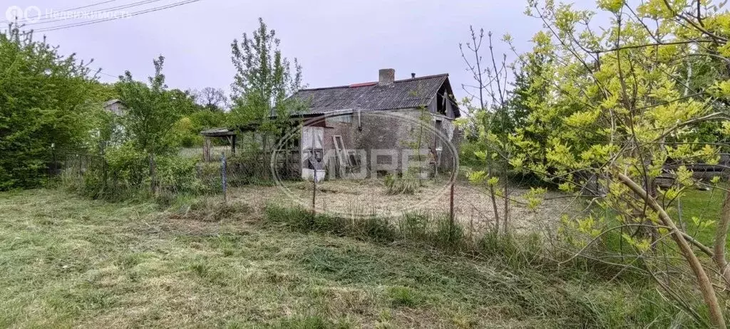 Участок в Калининградская область, Багратионовский муниципальный ... - Фото 1