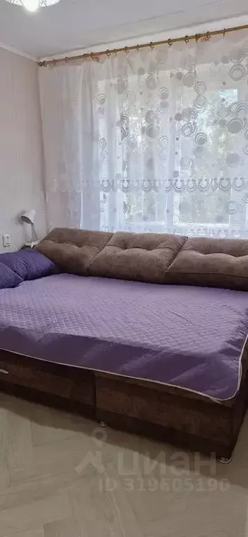 1-к кв. Саратовская область, Шиханы Молодежная ул., 3 (21.0 м) - Фото 2